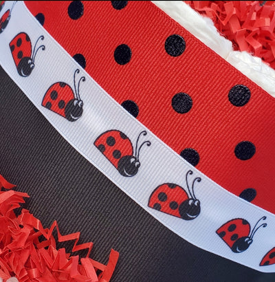 Red and Black Ladybug Diaper Cake